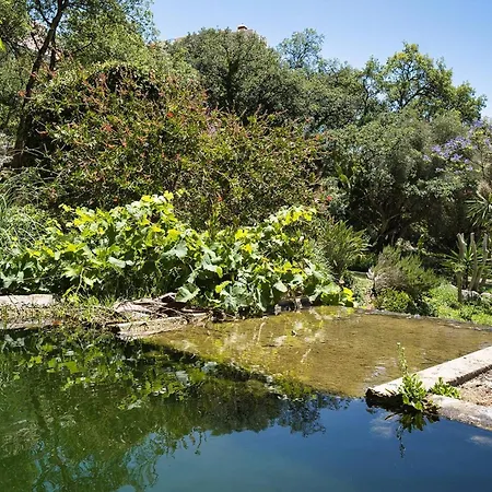 Lejlighed Santa Maria Elviria Golf Penthouse With Large Private Terrace And Sea Views -029 Marbella